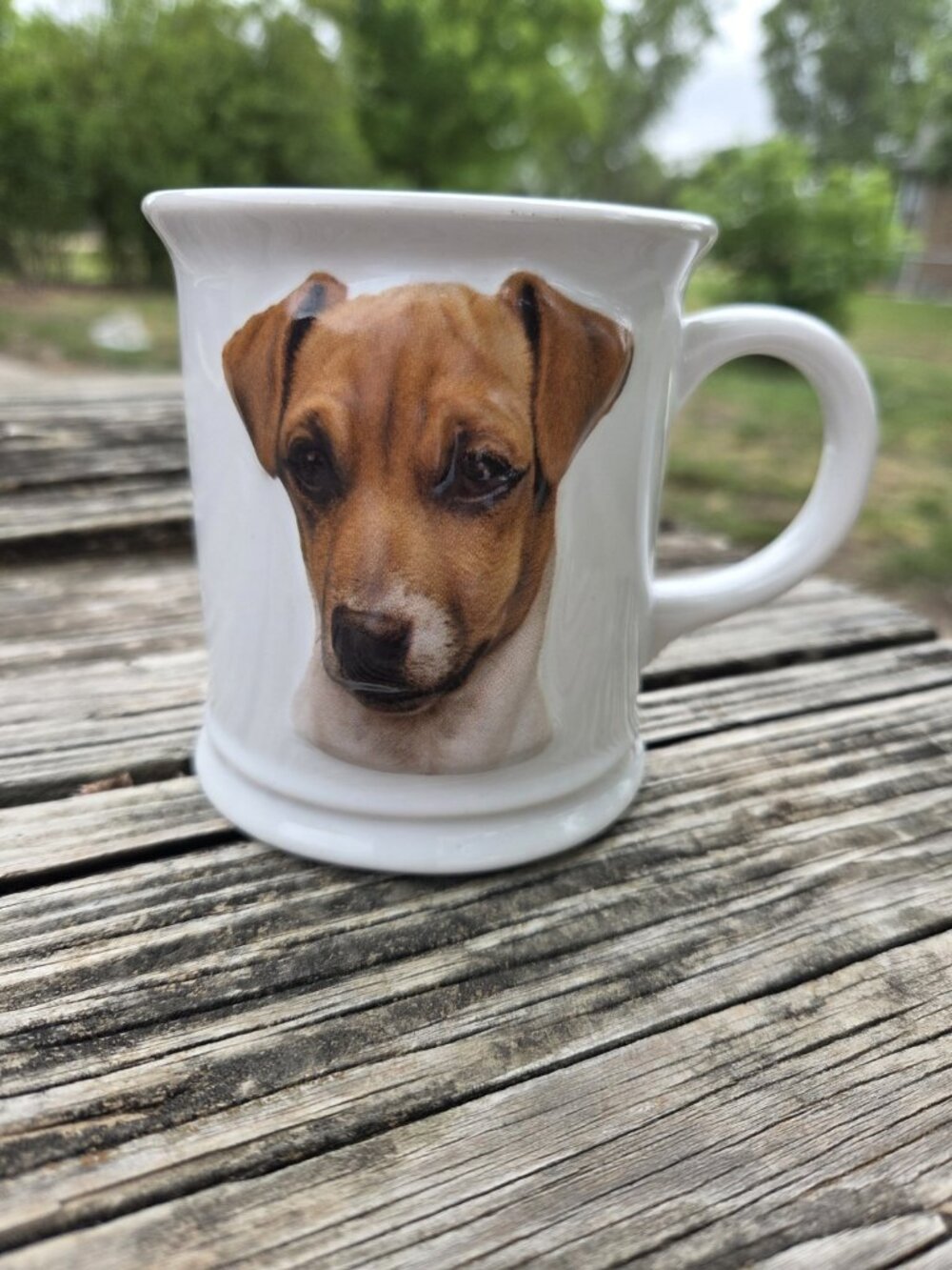 3D JACK RUSSELL Coffee Cup Best Friend Originals Mug Barbara Augello EXPRES 1999